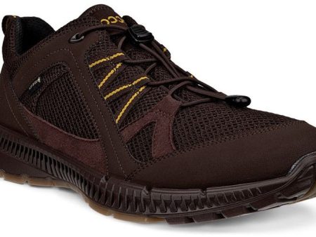 Ecco 843064-58290 GTX Terracruise II Mens Lace Up Trainer on Sale